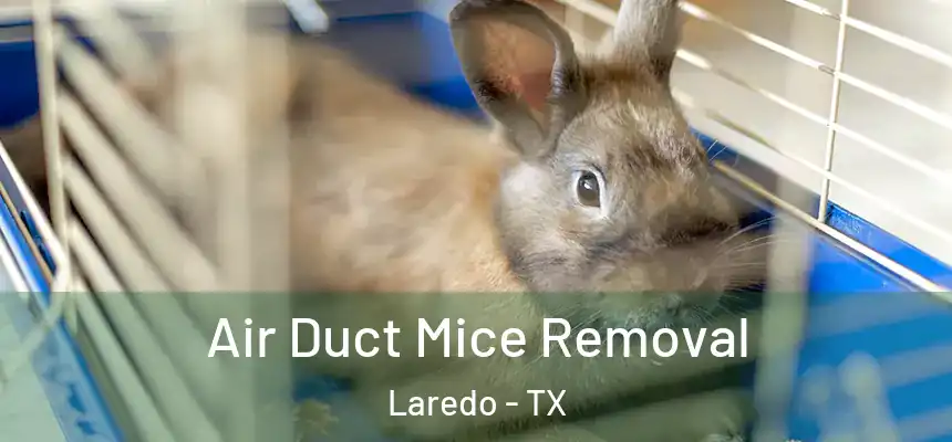  Air Duct Mice Removal Laredo - TX