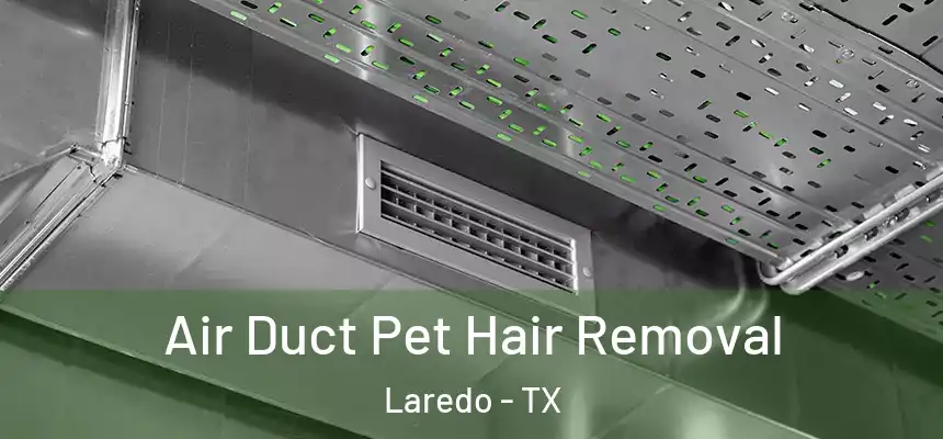  Air Duct Pet Hair Removal Laredo - TX