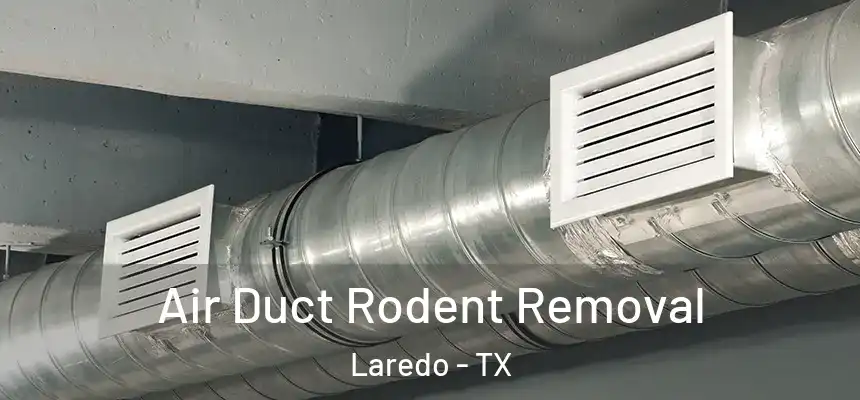  Air Duct Rodent Removal Laredo - TX