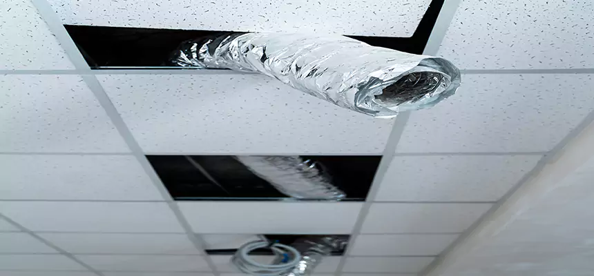 Our Air Duct Pet Hair Removal Services in Laredo, TX