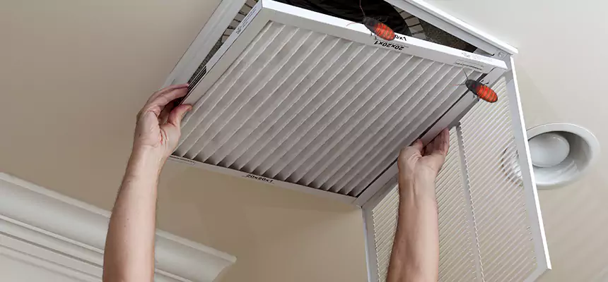 Our Insect Removal from Air Ducts Services in Laredo, TX