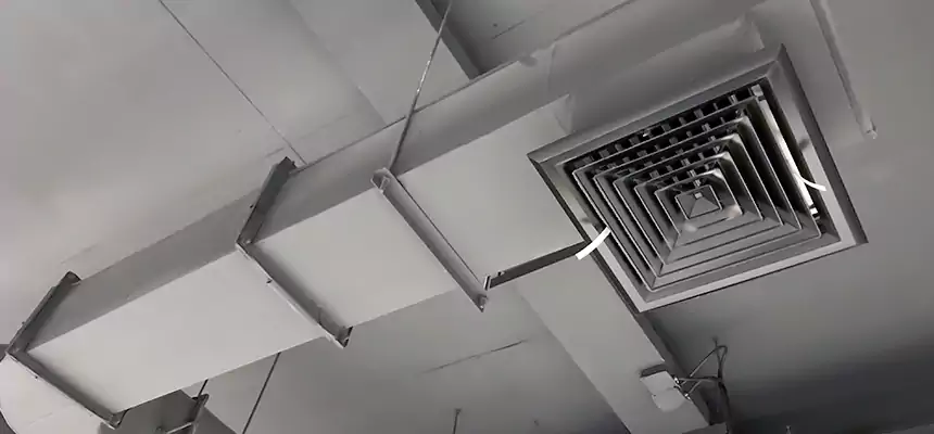 Our Pest Removal From Ducts Services in Laredo, TX