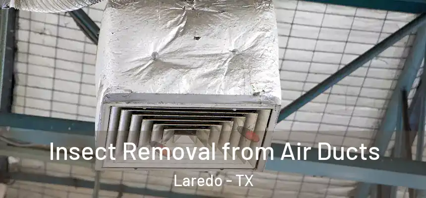 Insect Removal from Air Ducts Laredo - TX