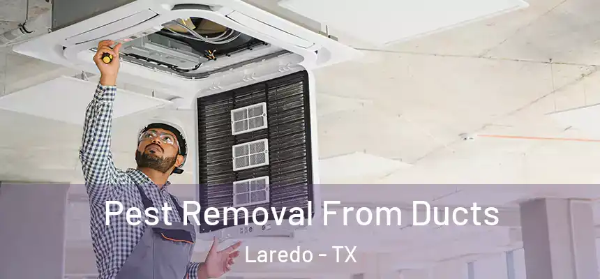  Pest Removal From Ducts Laredo - TX