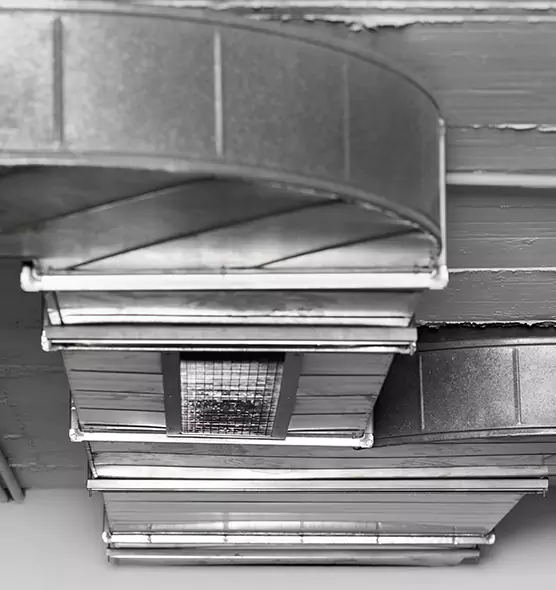 Professional Air Duct Pet Hair Removal in Laredo, TX