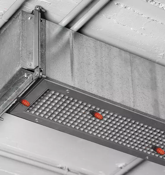 Affordable Insect Removal from Air Ducts in Laredo, TX