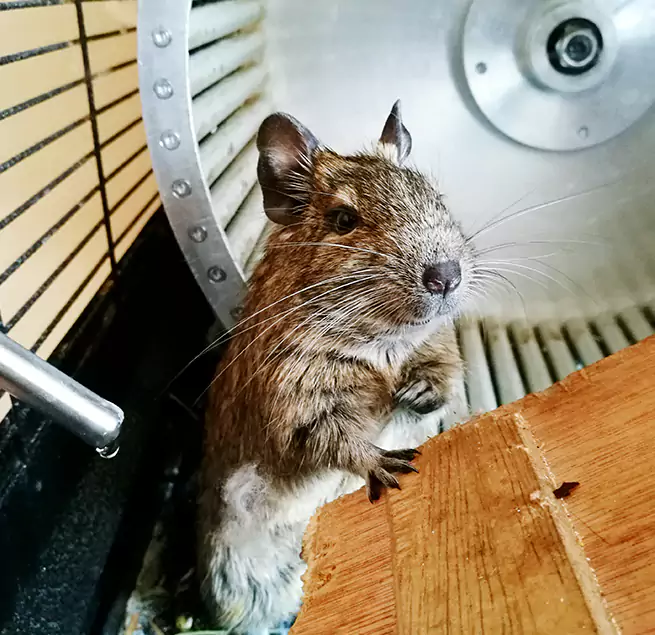 Why Homeowners & Businesses Trust Us Laredo, TX?