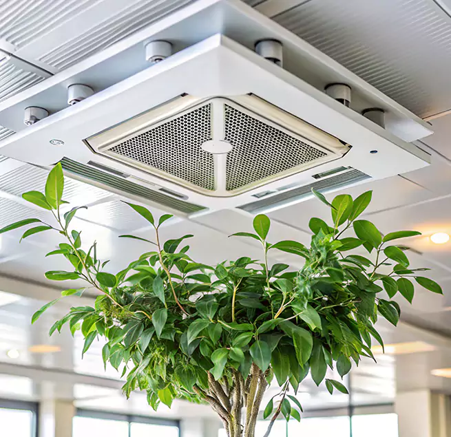 Why Homeowners & Businesses Trust Us in Laredo, TX