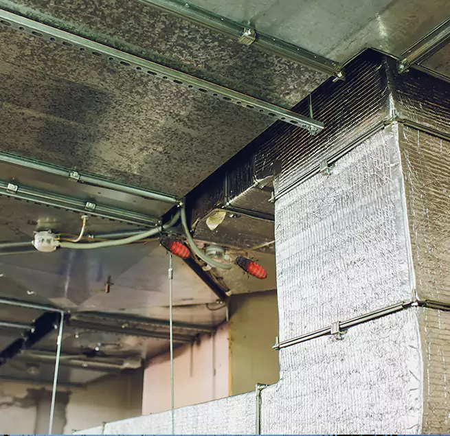 Why Homeowners & Businesses Trust Us Laredo, TX?